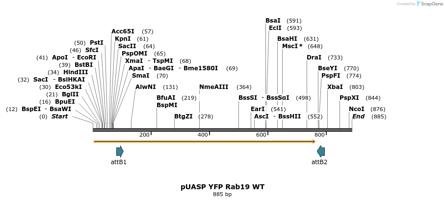 59074_map
