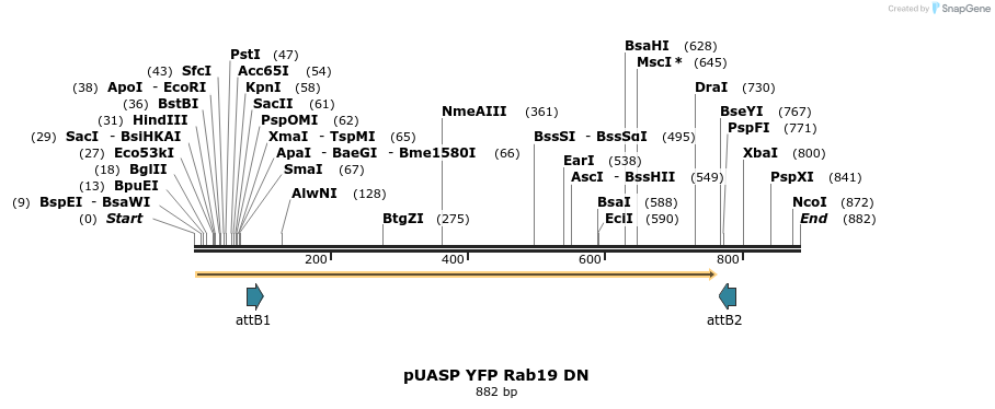 59075_map