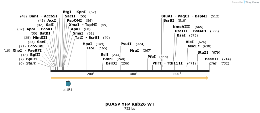 59079_map