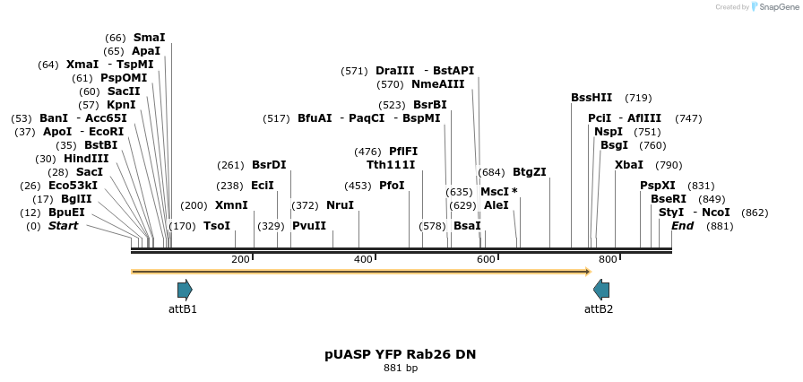 59080_map