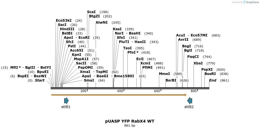 59082_map