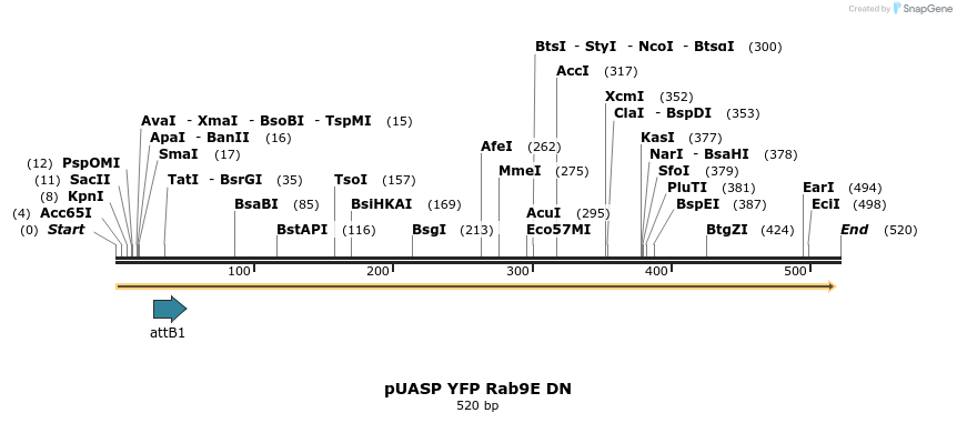 59089_map