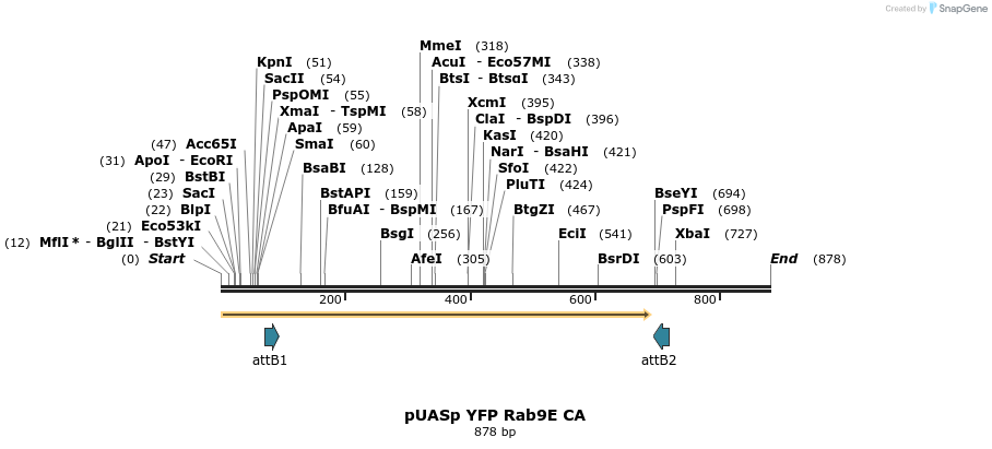 59090_map