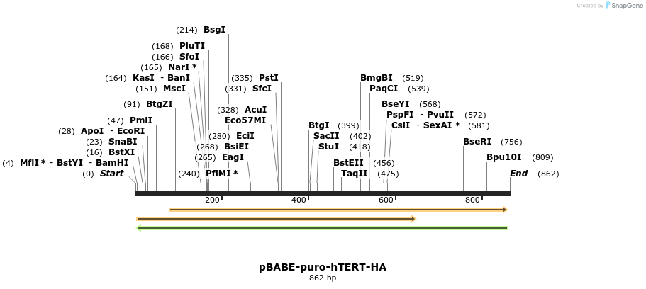 59091_map