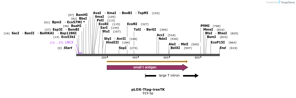 59092_map