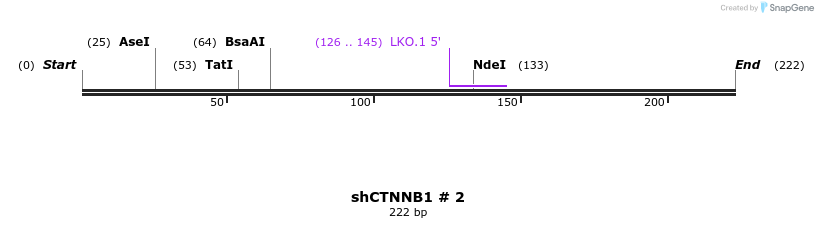 59096_map