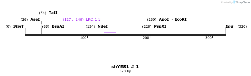 59097_map