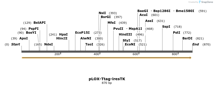 59102_map