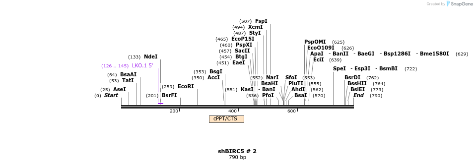 59104_map