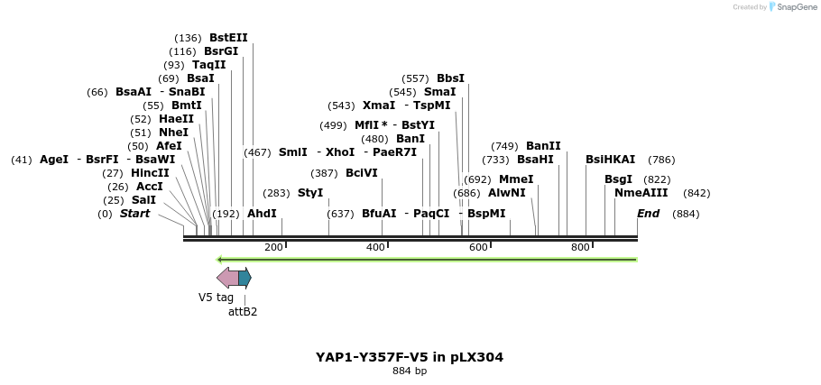 59106_map