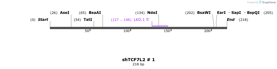 59107_map