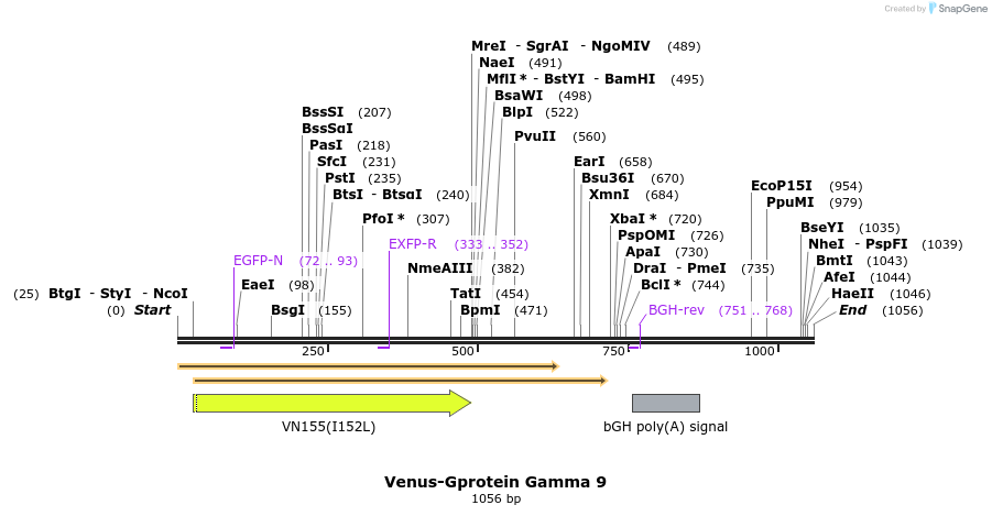 59108_map