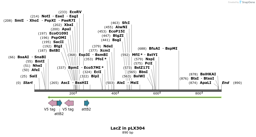 59112_map