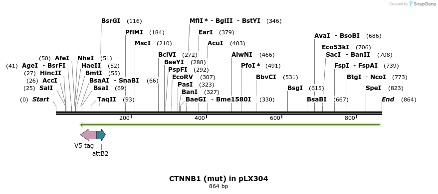 59113_map