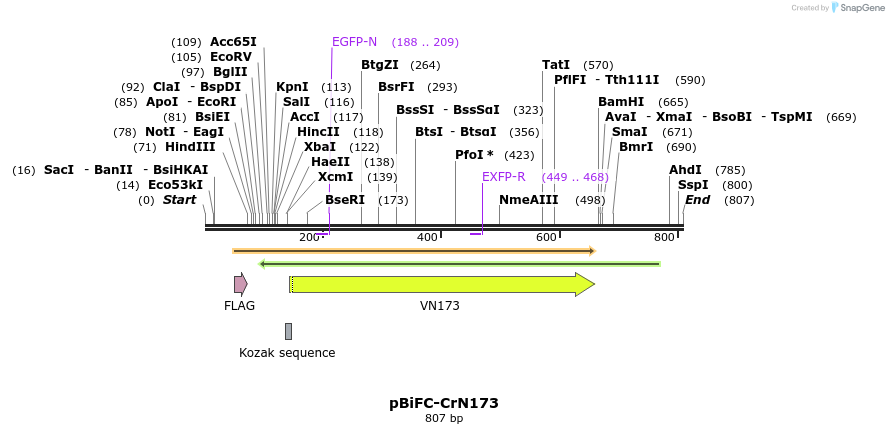 59115_map