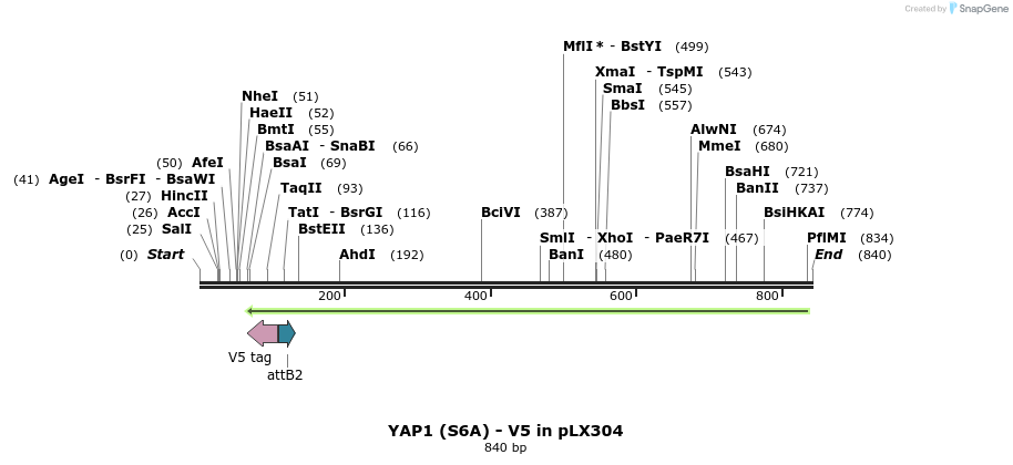 59116_map