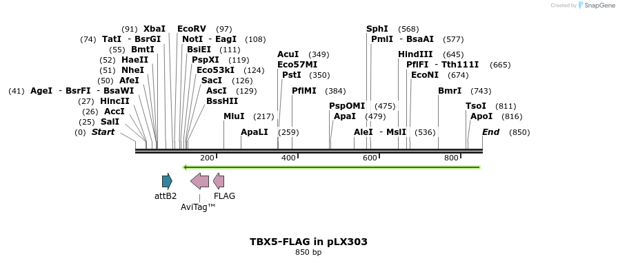 59118_map
