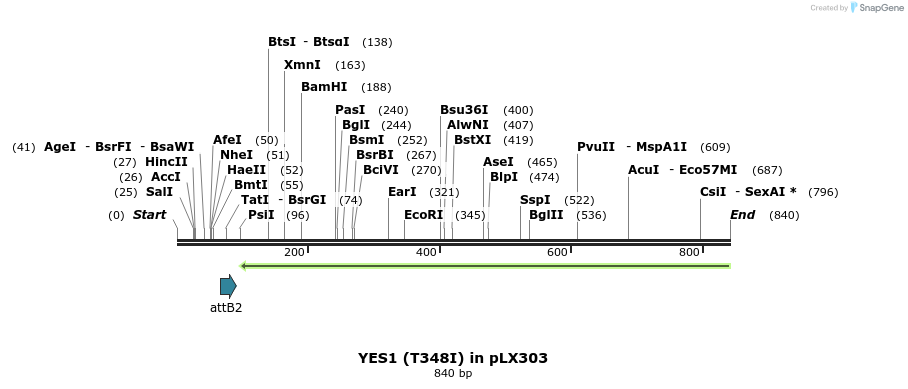 59119_map