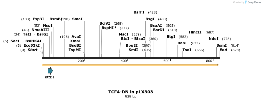 59121_map