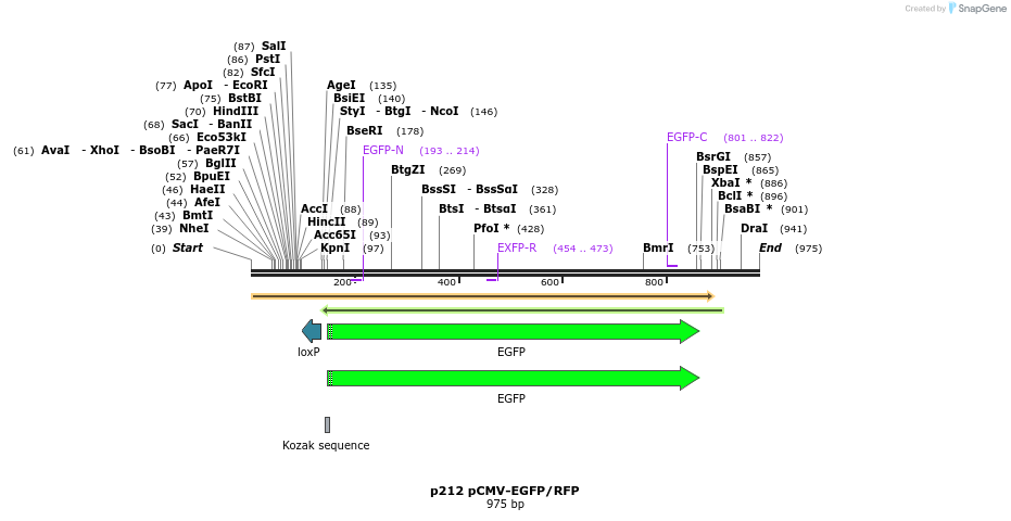 59148_map