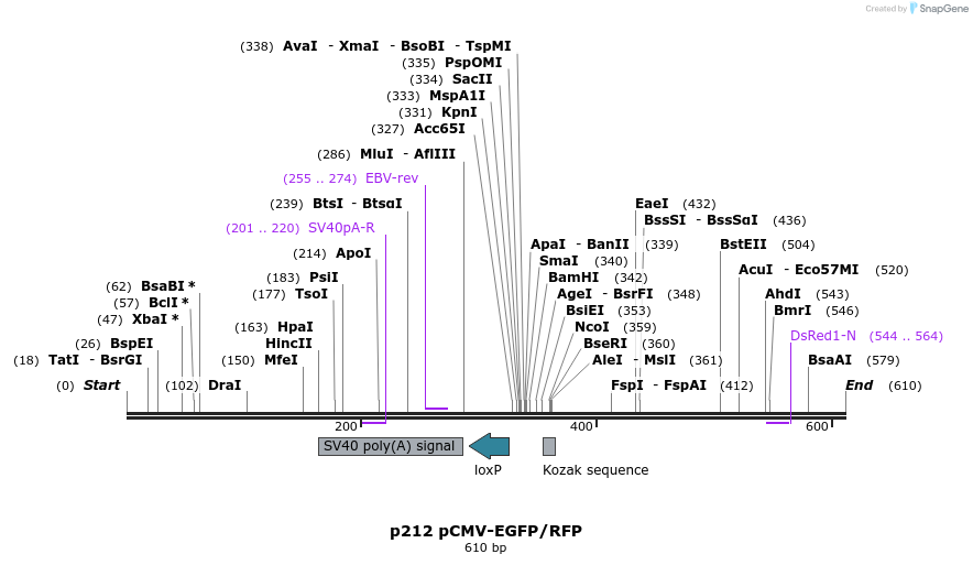 59149_map