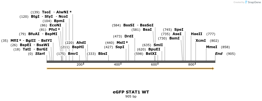 59150_map