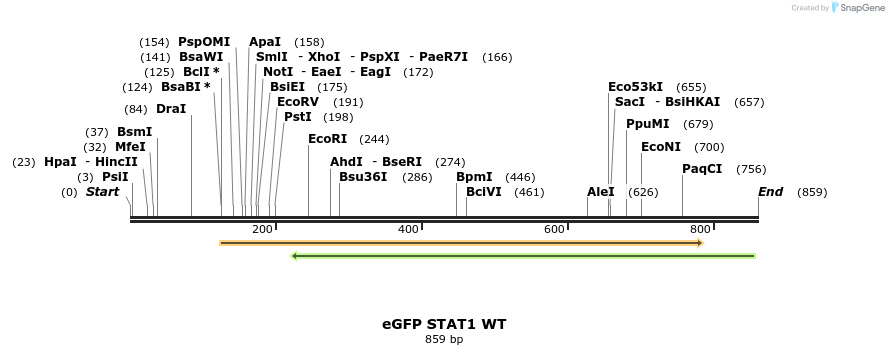59151_map