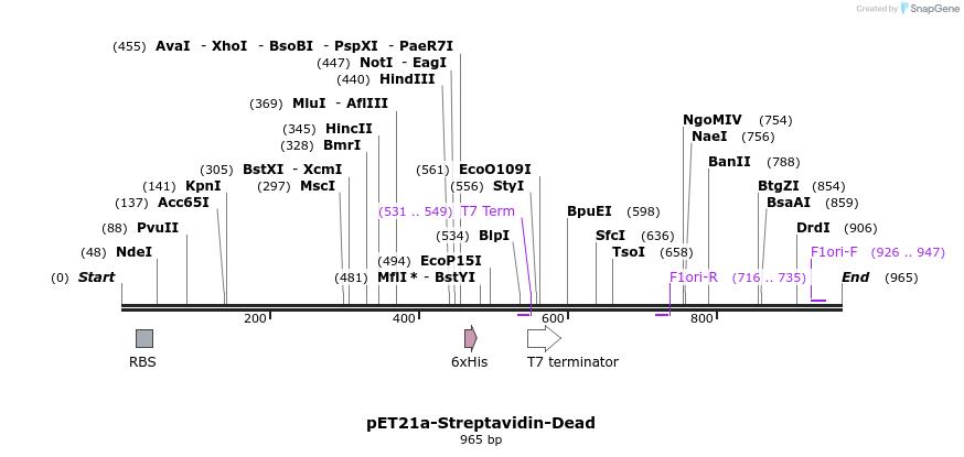59177_map