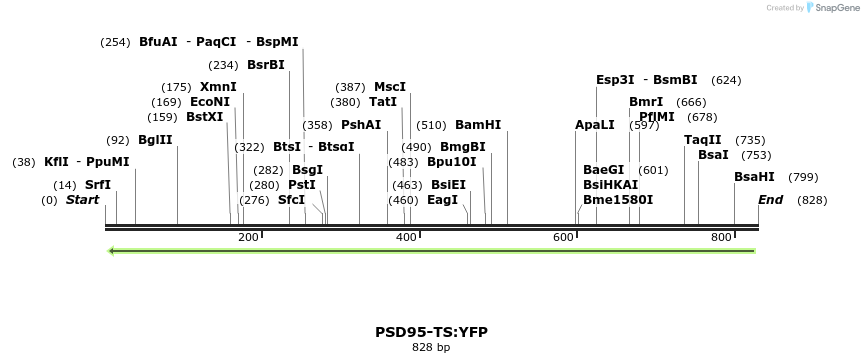 59187_map