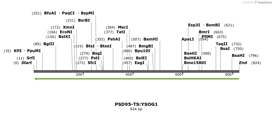 59188_map