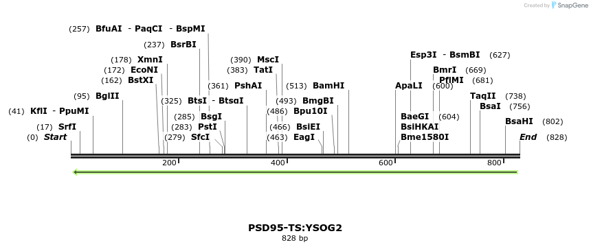 59189_map