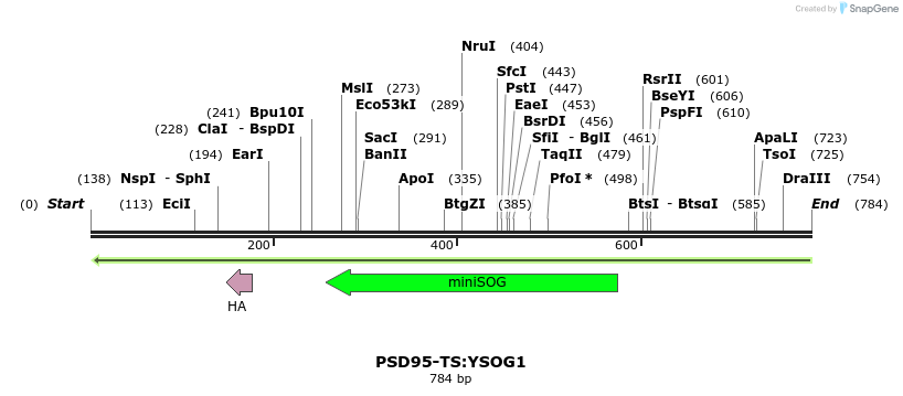 59194_map