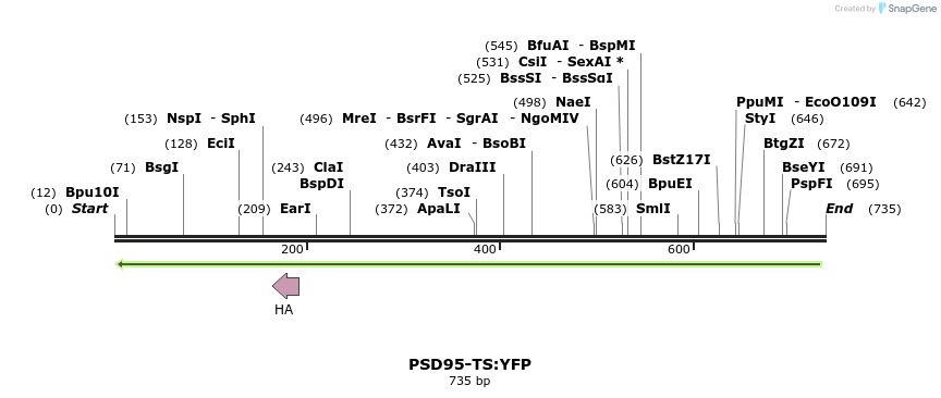 59197_map