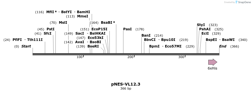 59202_map