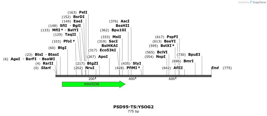 59205_map