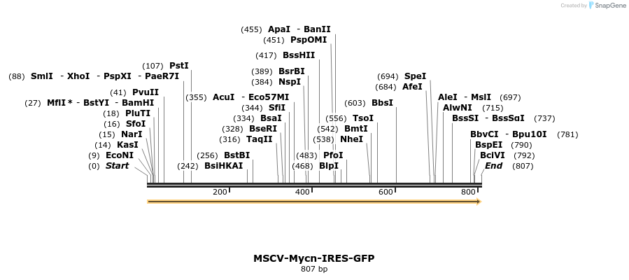 59211_map