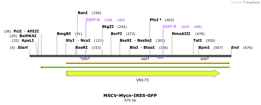 59212_map
