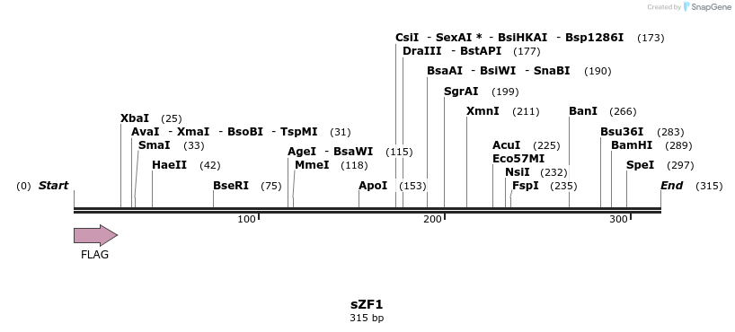 59215_map