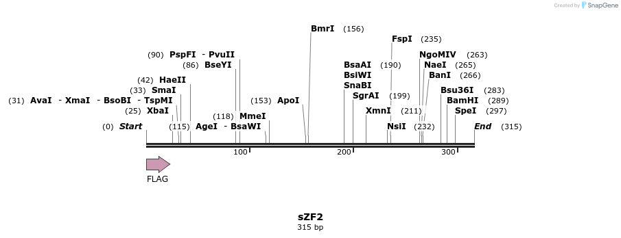 59216_map
