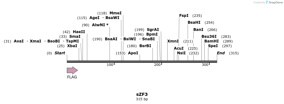 59217_map