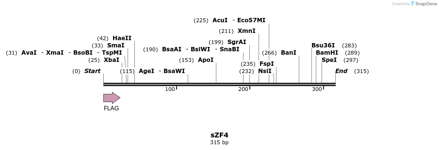 59218_map