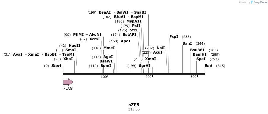 59219_map