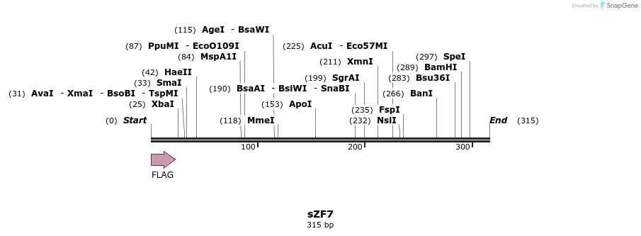 59221_map