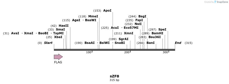 59222_map