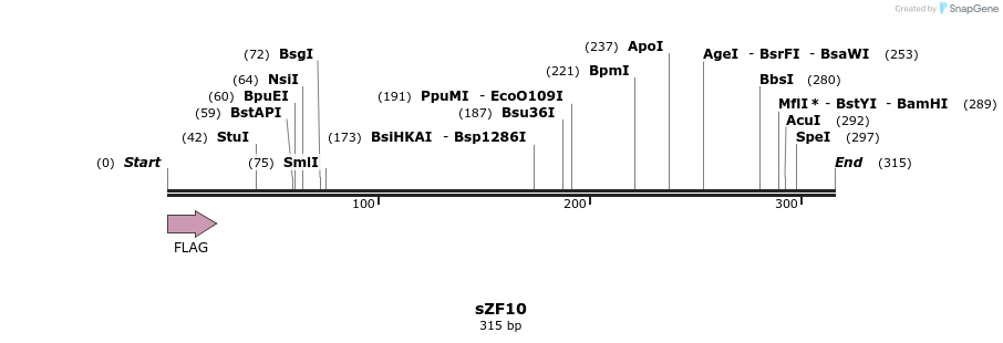 59224_map