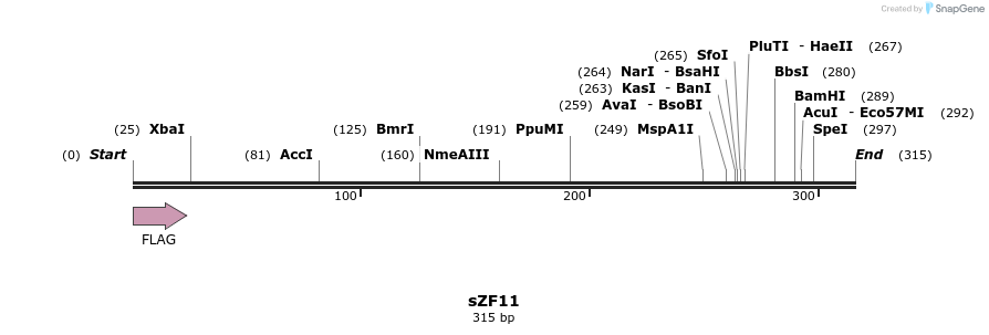59225_map