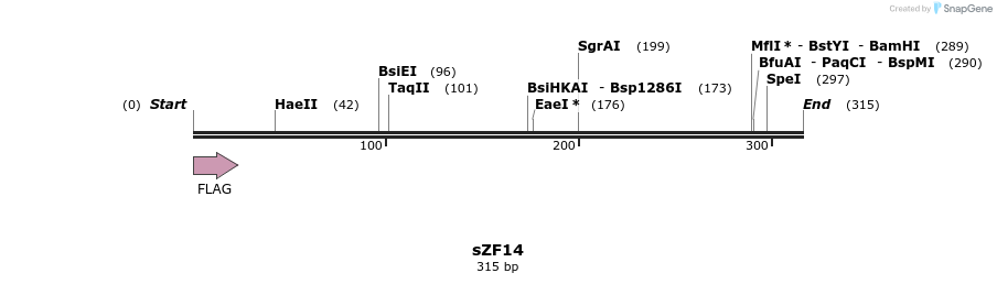 59228_map