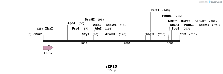 59229_map