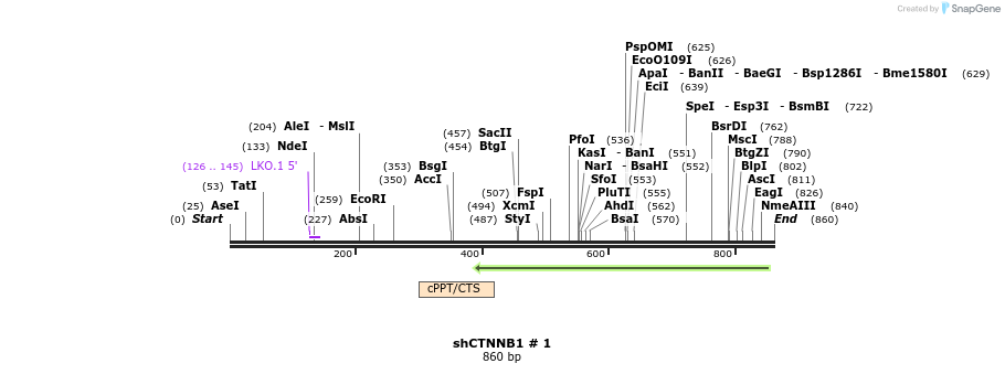 59244_map