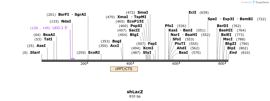 59248_map
